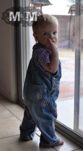looking-out-the-back-window