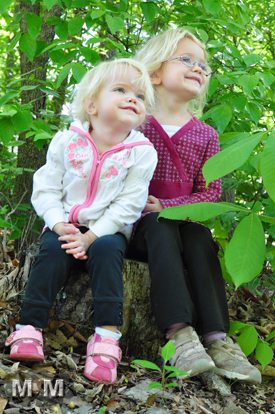 sitting on a log Part I: How To Volunteer With Small Children