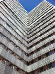 mayo-building