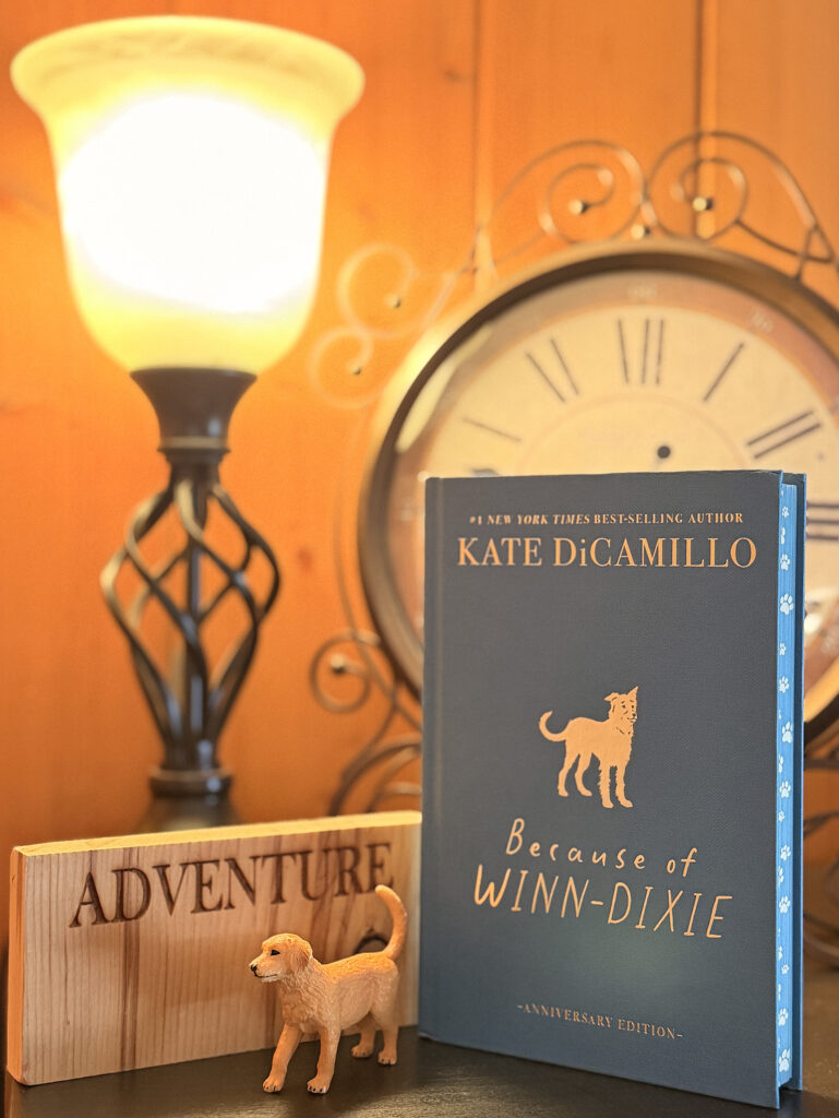 Christmas Gift Guide 2025: Gifts for Readers 20 Christmas Gift Guide 2025: Gifts for Readers 18
